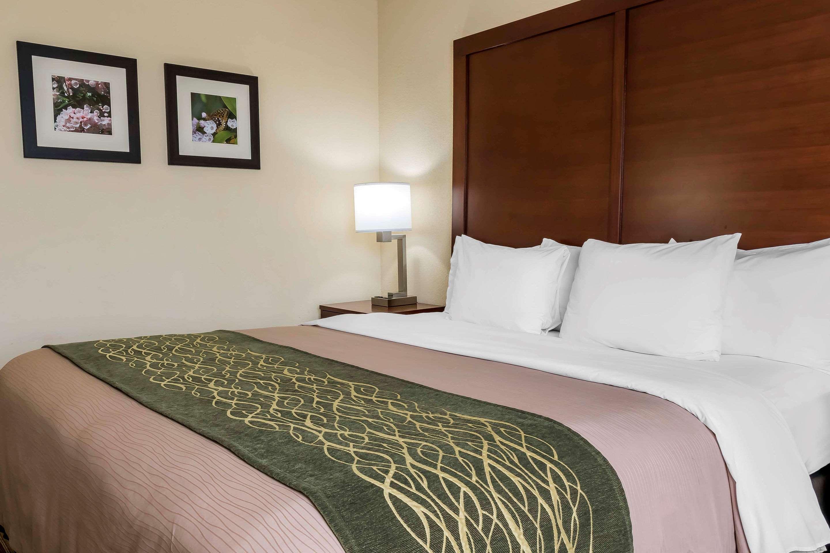 Comfort Inn - Pocono Mountains White Haven Buitenkant foto