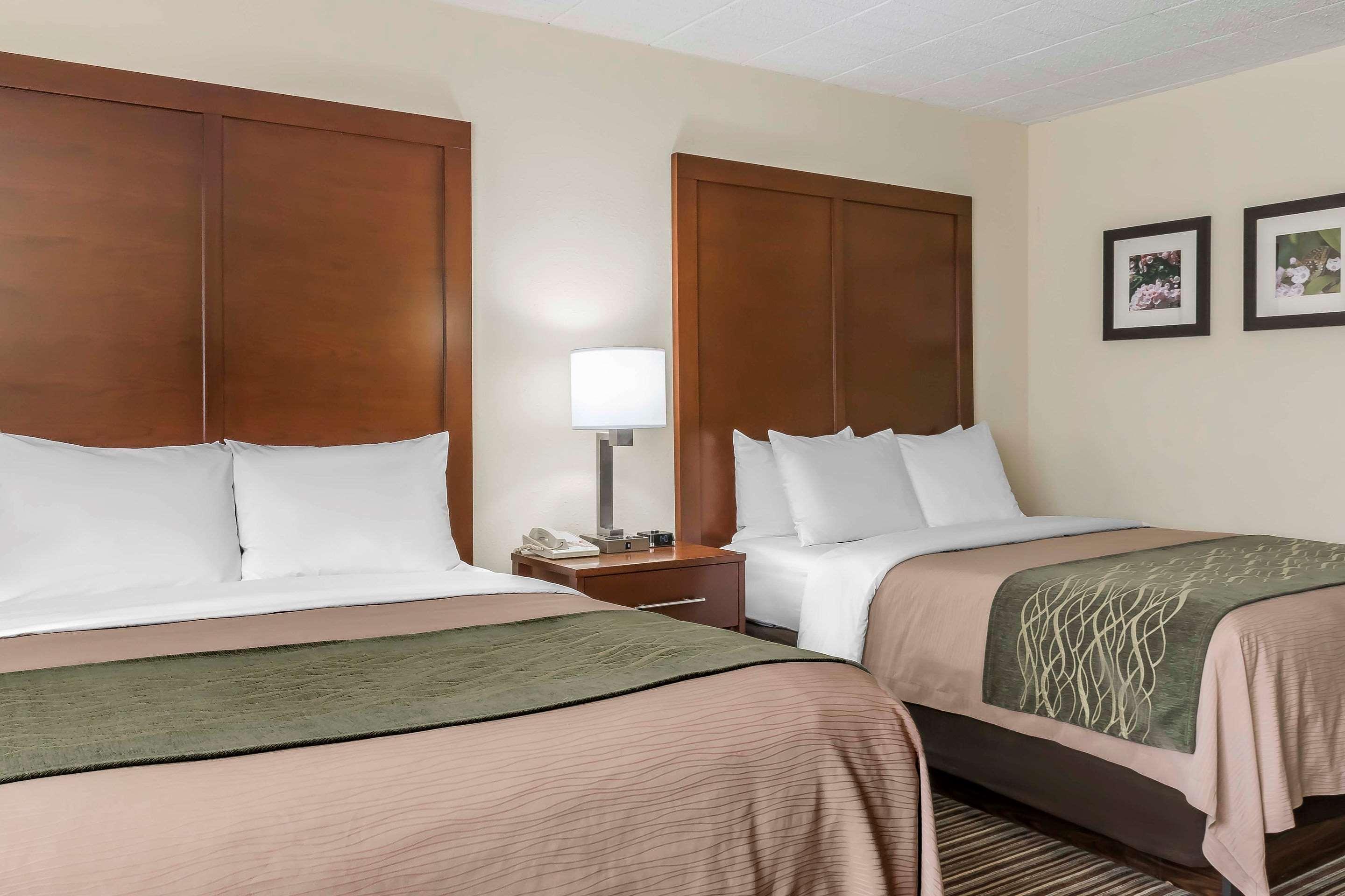 Comfort Inn - Pocono Mountains White Haven Buitenkant foto
